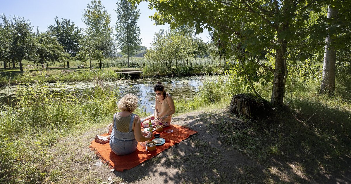 6 wandelroutes langs leuke picknickplekken | Routen