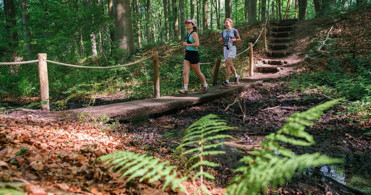Routen Trail & Walk
