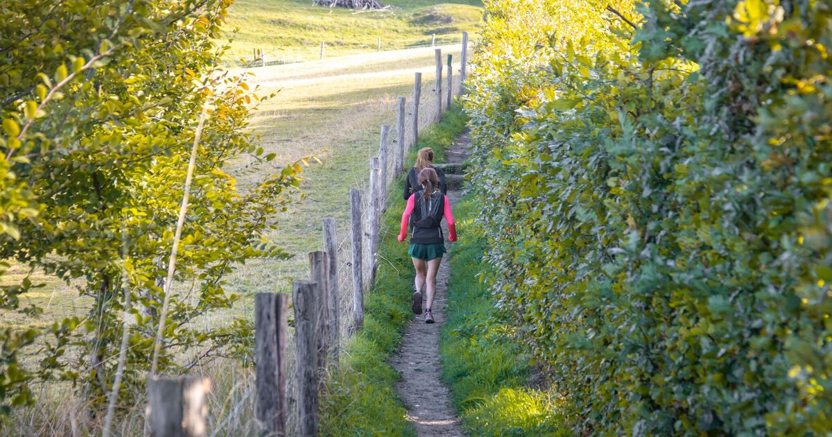 Routen Trail & Walk