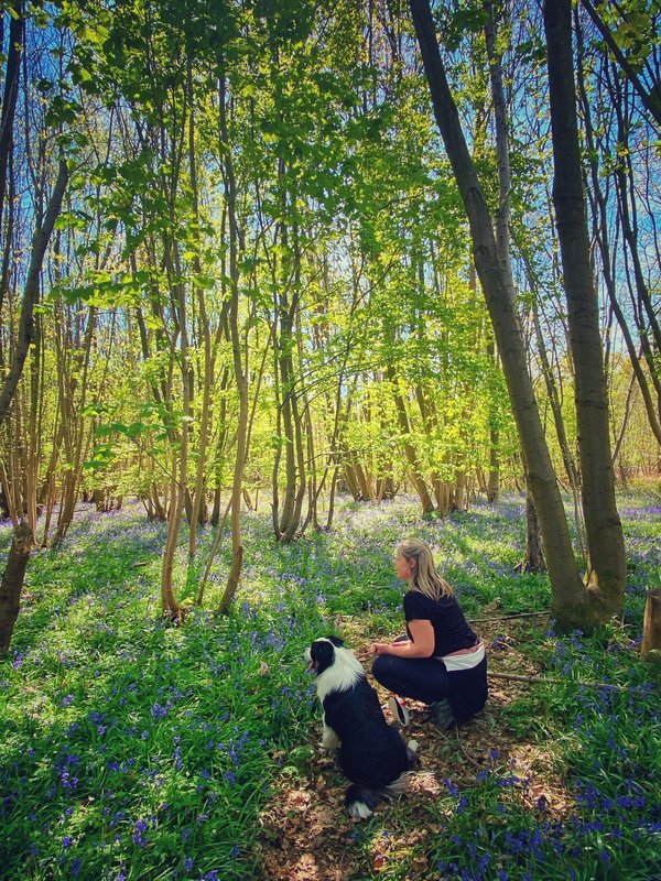 Het Raspaillebos in Geraardsbergen