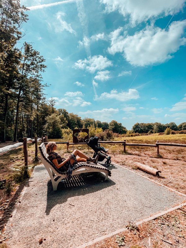 Sinnenbank in het Muziekbos
