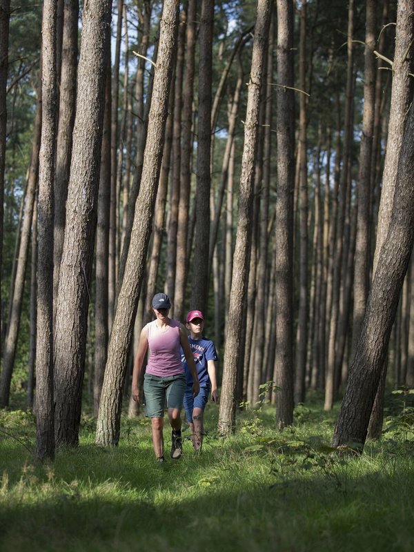 Meerdaagse wandeltochten in Oost-Vlaanderen | Routen