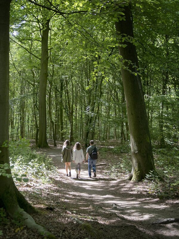 Drie wandelaars in het Koppenbergbos