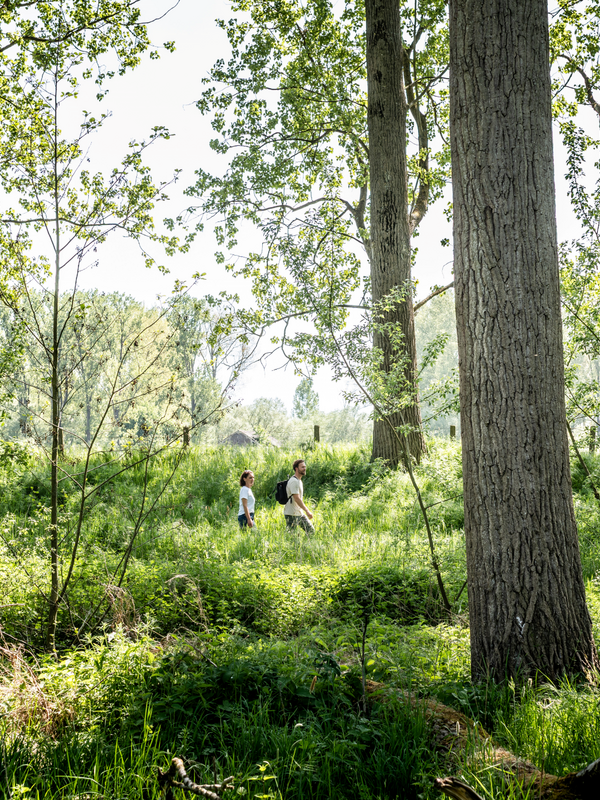 Twee wandelaars in het natuurgebied Moenebroek in Vloerzegem